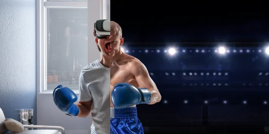 UFC Metaverse VR