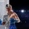 UFC Metaverse VR